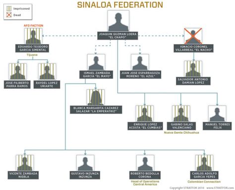 structure of sinaloa cartel